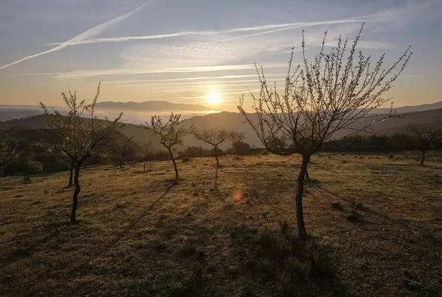 Sunrise In The Fields, Vila Nova de Foz Coa, Portugal