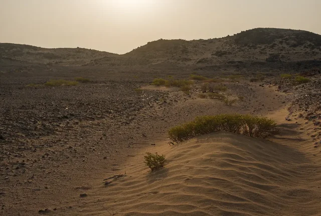 Sunrise Over Desolate Land, Qarn Alam Salt Dome, Oman