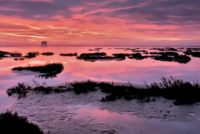 Sunrise Over Gruissan Wetlands, Occitanie, France