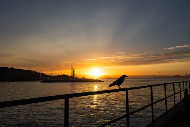 Sunrise Over San Francisco Bay, Marin Headlands, Sausalito, California, USA