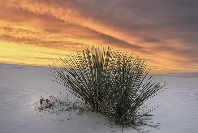 Sunset At White Sands National Park, New Mexico, USA