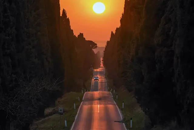 Sunset on cypress avenue, bolgheri, livorno, tuscany, italy