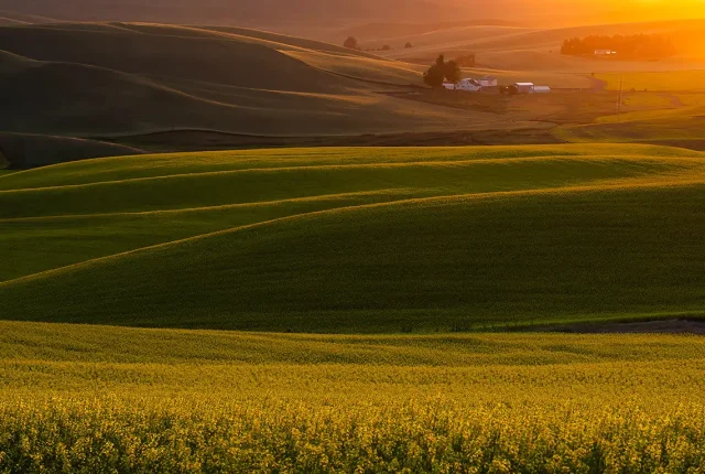 Sunset On The Palouse, Pullman, WA, USA