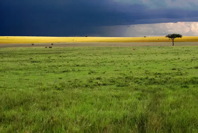 Sunset Over African Savanna, Maasai Mara, Kenya