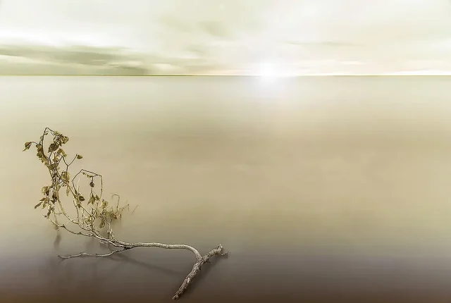Suspended In Silence, Torre Del Lago, Lucca, Tuscany, Italy