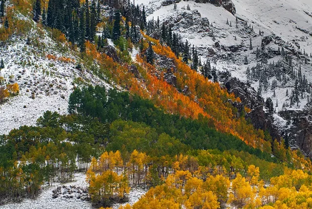 Telluride Autumn Snowstorm, San Miguel County, Colorado, USA