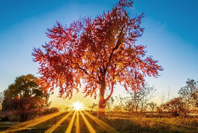 The Autumn Star, Riviere des Prairies, Montreal, Quebec, Canada