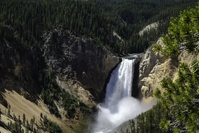 The majestic lower yellowstone falls, yellowstone national park, wyoming, usa