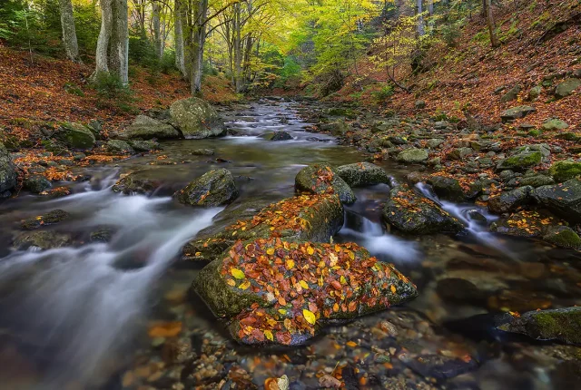 The Old River Reservation, Karlovo, Bulgaria