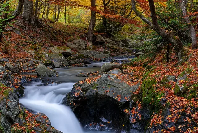 The Old River Reserve, Karlovo, Bulgaria