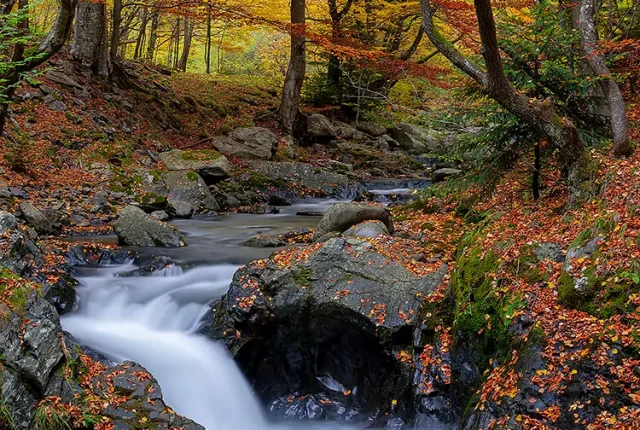 The Old River Reserve, Karlovo, Bulgaria