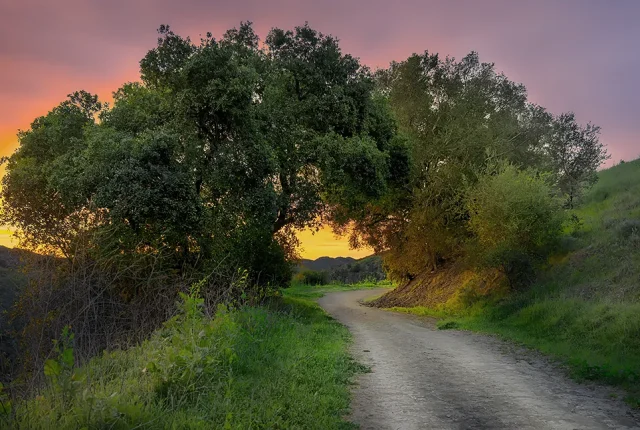 The Road Home, Ojai, California, USA copy