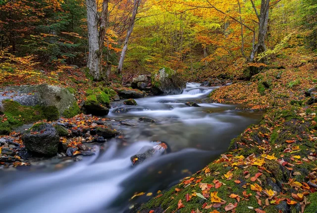 The Stara Reka, Karlovo, Bulgaria