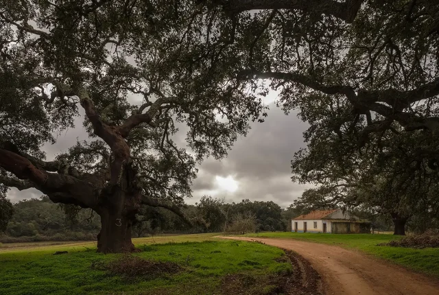The Trail, Odemira, Alentejo, Portugal