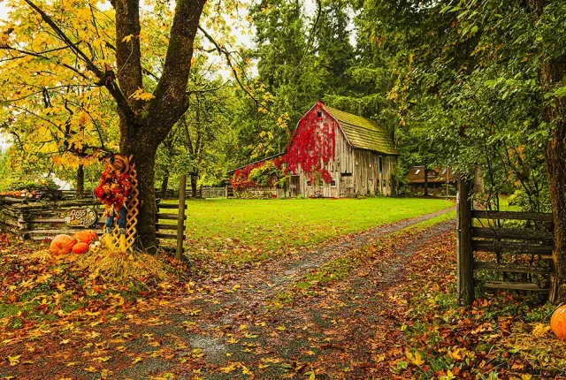 Tis The Season, Courtenay, Vancouver Island, British Columbia, Canada