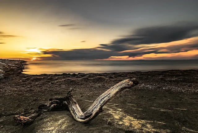 Traces of the Past, Scolmatore Di Livorno, Tuscany, Italy