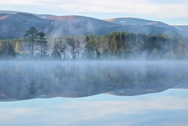 Uath lochans at dawn, inshriach forest, scotland