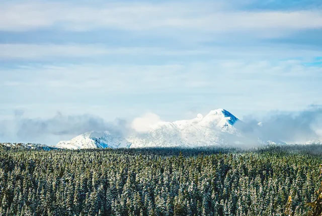 Vancouver Island Winter, Courtenay, British Columbia, Canada
