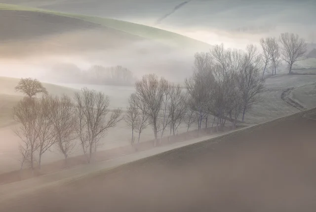 Veils Of Mist, Orciano Pisano, Pisa, Tuscany, Italy
