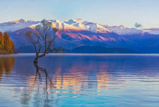 Wanaka Tree Autumn Sunrise, South Island, New Zealand