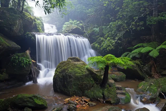 Weeping Rock, Leura Forest, BLue Mountains, Australia