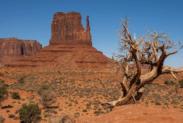 West mitten butte, monument valley navajo tribal park, arizona, usa