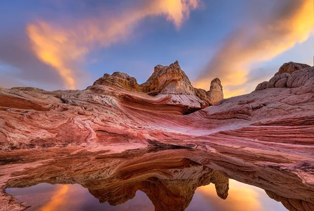 White Pocket Reflection, Vermilion Cliffs National Monument, Utah, USA