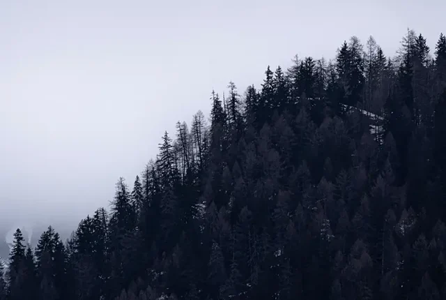 White Shadow, Courmayeur, Aosta Valley, Italy