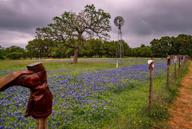 Willow City Loop, Fredericksburg, Gillespie County, Texas, USA copy