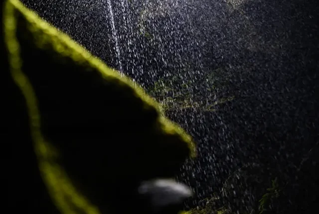 Wilson creek shining, haast pass, new zealand