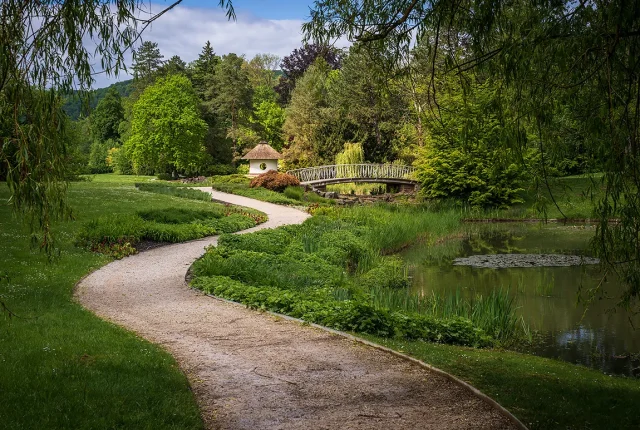 Winding Path At Kurpark Gardens, Bad Pyrmont, Lower Saxony, Germany