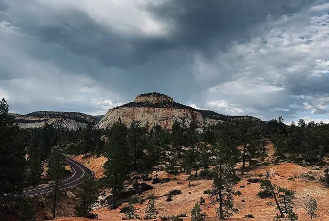 Winding Road, Zion National Park, Washington County, Utah, USA