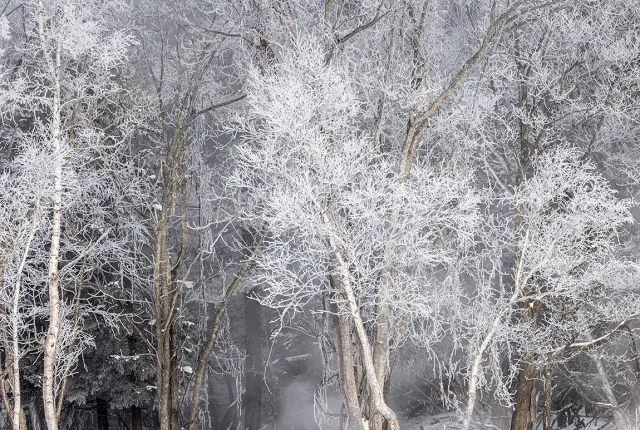 Winter in Hokkaido, Teshikaga, Hokkaido, Japan