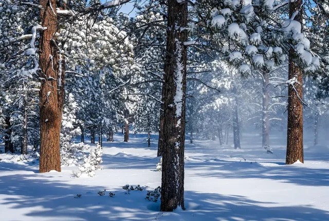 Winter Magic, Bryce Canyon National Park, Utah, USA