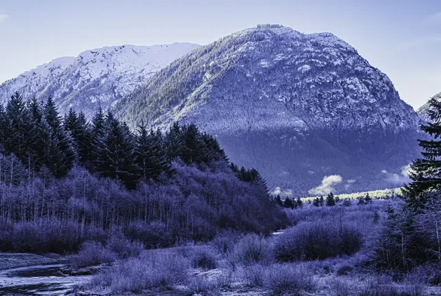 Winter Time, Vancouver Island, BC, Canada
