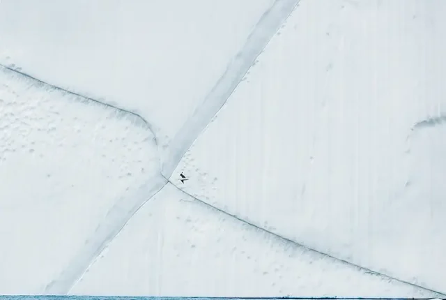 X Marks The Spot, Disko Bay, Greenland