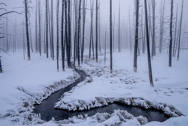 Yellowstone Stream In Winter, Wyoming, USA copy